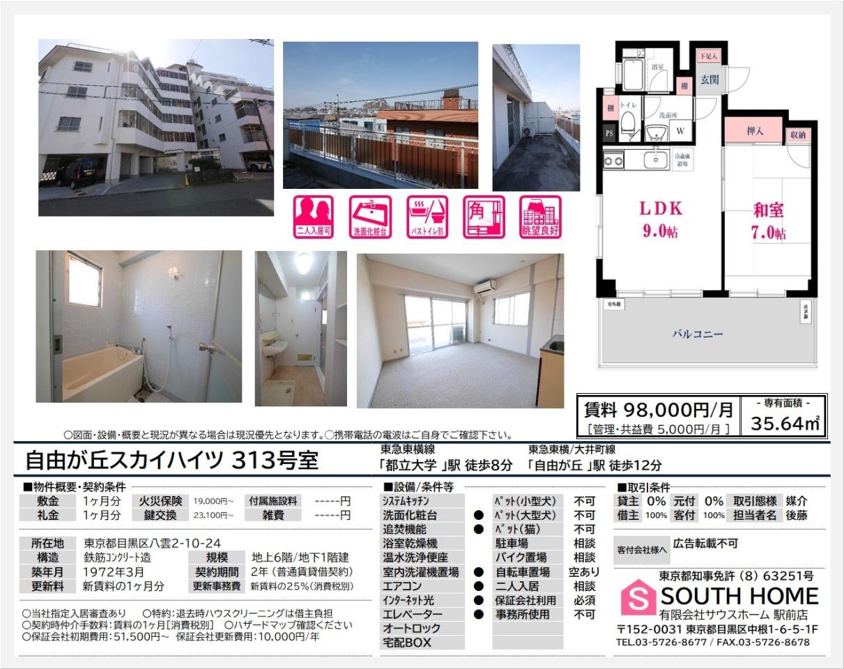 自由が丘スカイハイツ313　案内図面