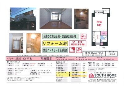 ルピナス池尻305案内図面