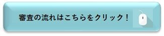 審査の流れボタン