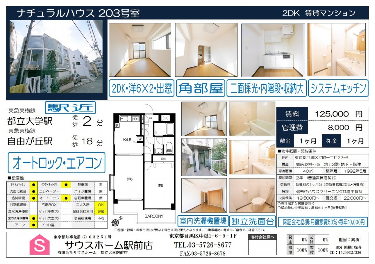 ナチュラルハウス203　案内図面